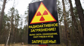«Чего бы нам ни стоило». Лукашенко хочет вернуть в оборот земли, загрязненные после аварии на Чернобыльской АЭС