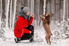 Конвейер репрессий. Осудили ветеринара из Гомеля. Как на БелЖД ищут «шпионов». Стало известно имя одного из помилованных 30 декабря