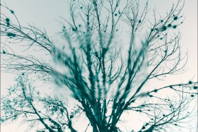 «Нас проста выкінулі. Я лічу, што гэта дастаткова цынічна»