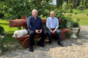 «Сидели и по-стариковски плакали друг другу на президента Зеленского, который не уважает их седины»