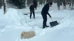«Истекающий гарант вообще всех победил. У него победа — это непрерывный процесс по типу пищеварения»