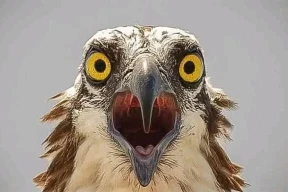 Кнырович: «Настоящий кризис в экономике Беларуси начался»