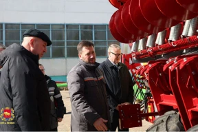 «Чиновникам проще и безопаснее продолжать смешивать мед с несъедобной субстанцией, чем указать на очевидное своему патрону»