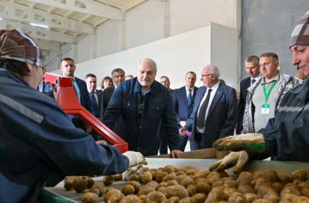 «До воплощения КВНовской шутки про перебор картошки по телефону: «Хорошая… хорошая… плохая…» — осталось всего ничего»